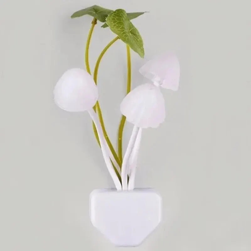 🍄 אור זוהר פטריות קסום