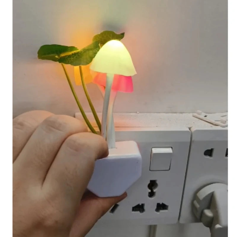 🍄 אור זוהר פטריות קסום