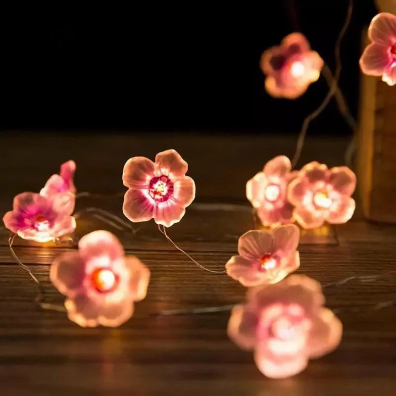 <tc>Lunvail</tc>™ Soilse Sí Bláth Silíní Bándearg LED 3M/2M – Solas Teaghráin USB &amp; Ceallraí (20/30 LED)