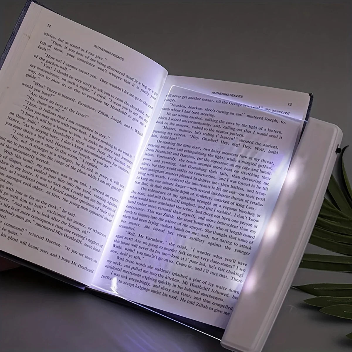 📖 Solas Léitheoireachta Fís Oíche Painéil Chomhréidh LED