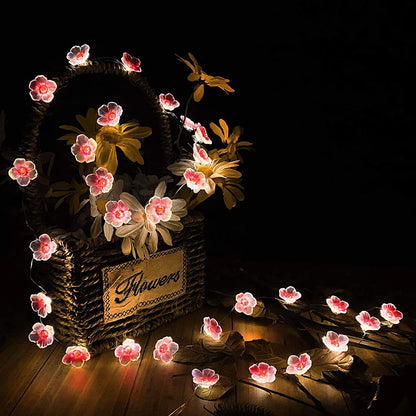 <tc>Lunvail</tc>™ Soilse Sí Bláth Silíní Bándearg LED 3M/2M – Solas Teaghráin USB &amp; Ceallraí (20/30 LED)