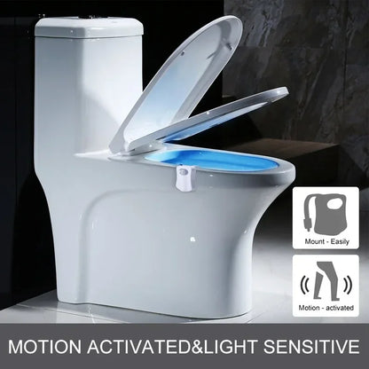 ZK30 Braiteoir Tairisceana Cliste Solas Oíche Light - 8/16 Dath Backlight faoi stiúir Dath