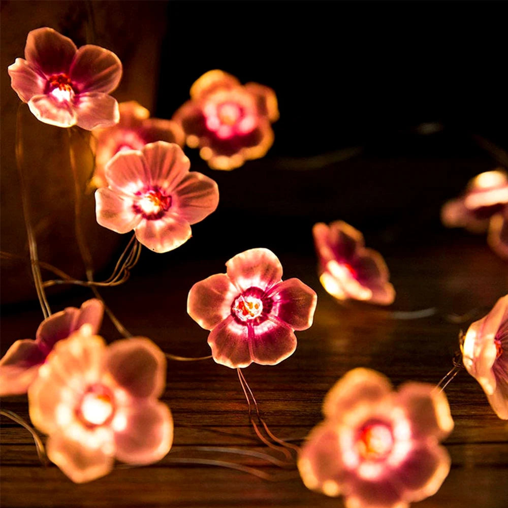 <tc>Lunvail</tc>™ Soilse Sí Bláth Silíní Bándearg LED 3M/2M – Solas Teaghráin USB &amp; Ceallraí (20/30 LED)